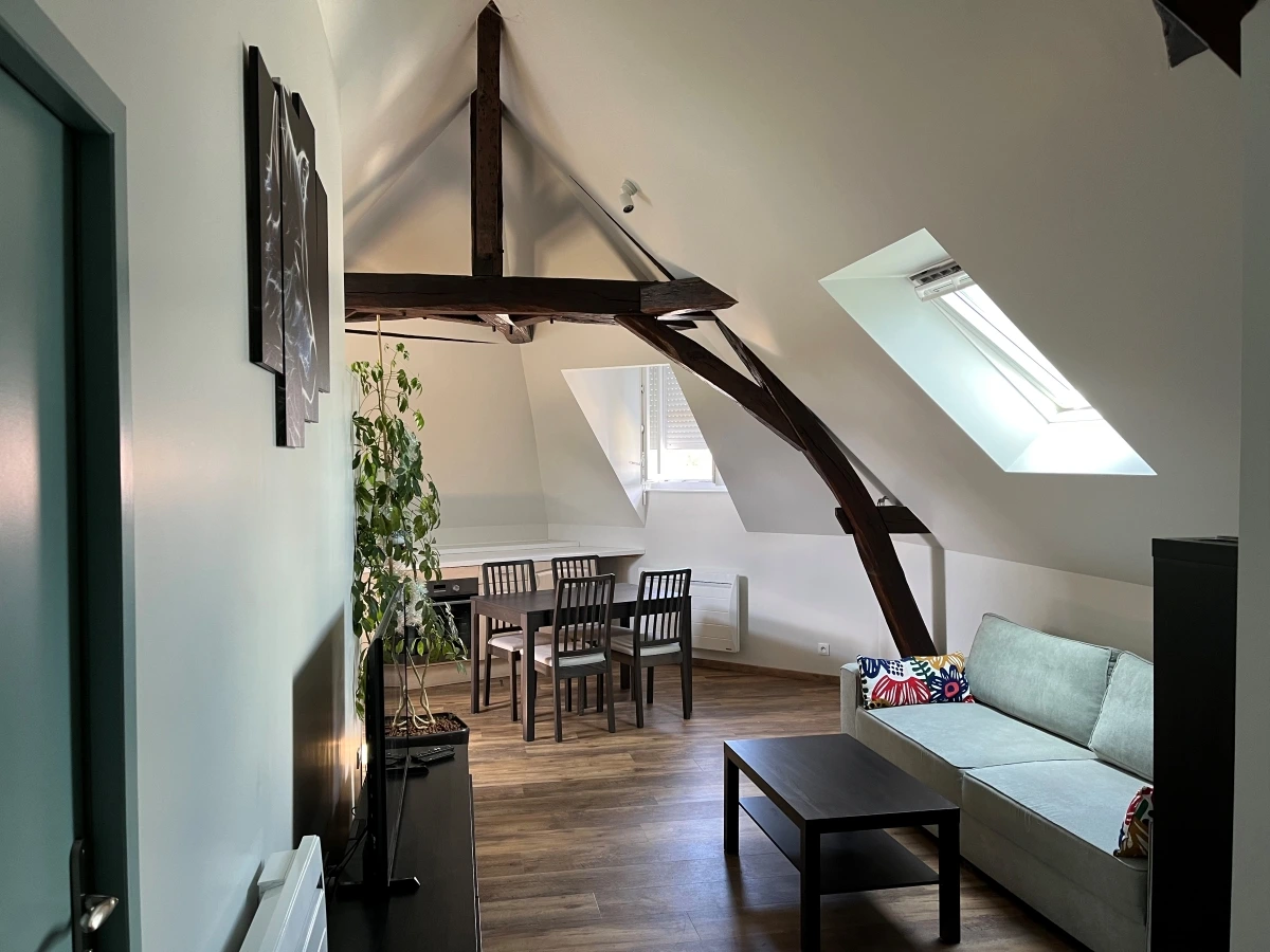 renovation-appartement-locatif-salon-2
