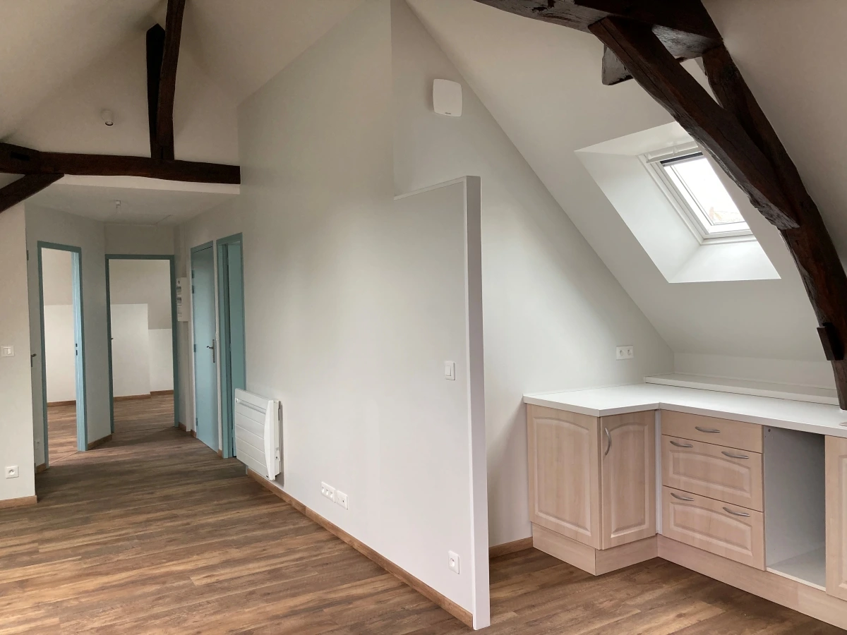 renovation-appartement-locatif-salon-cuisine