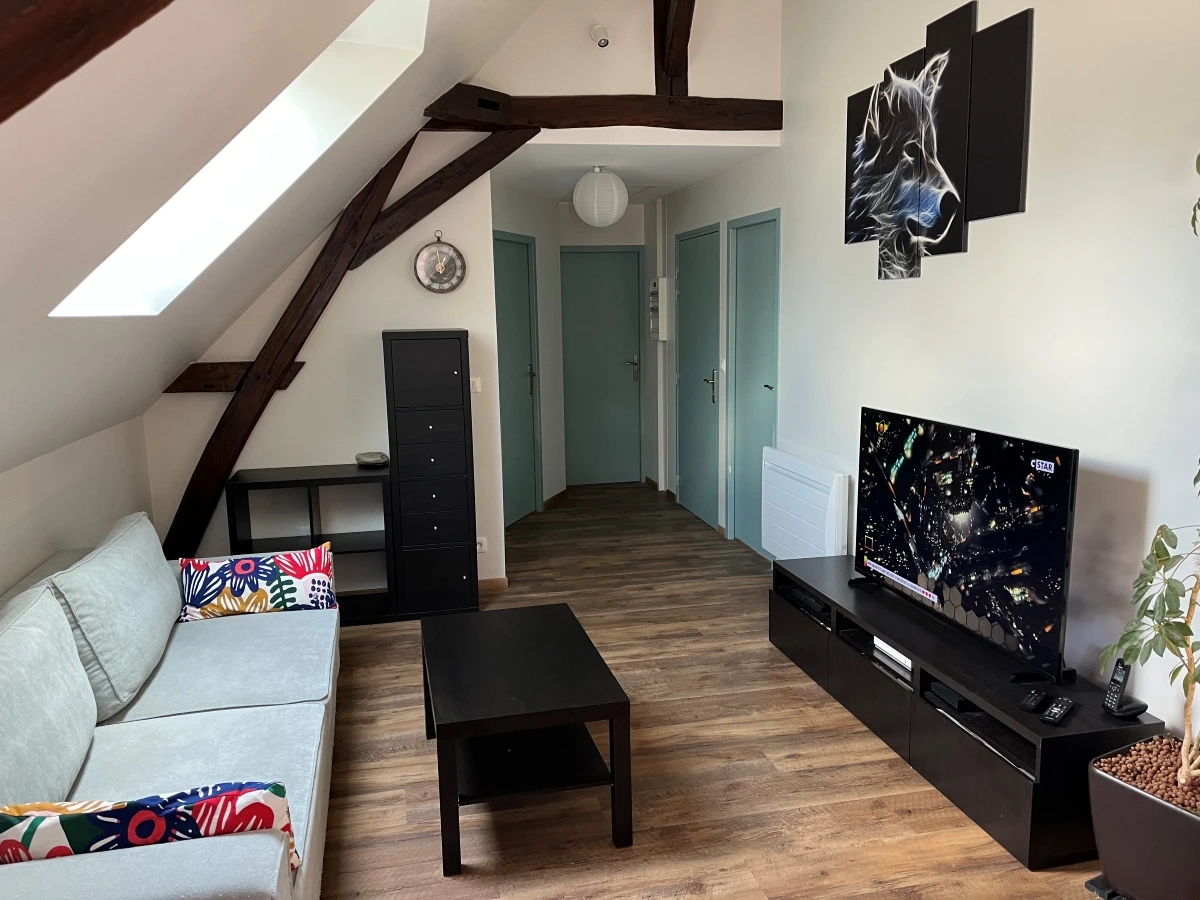 renovation-appartement-locatif-salon
